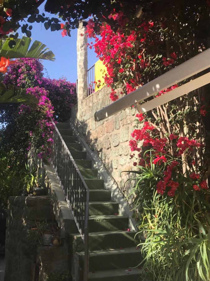 Villa Casa Vacanze Il Pozzo Ischia Island Exterior foto
