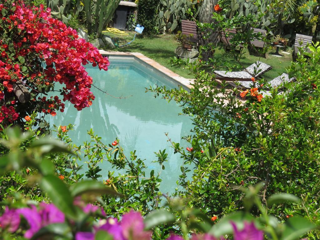 Villa Casa Vacanze Il Pozzo Ischia Island Exterior foto
