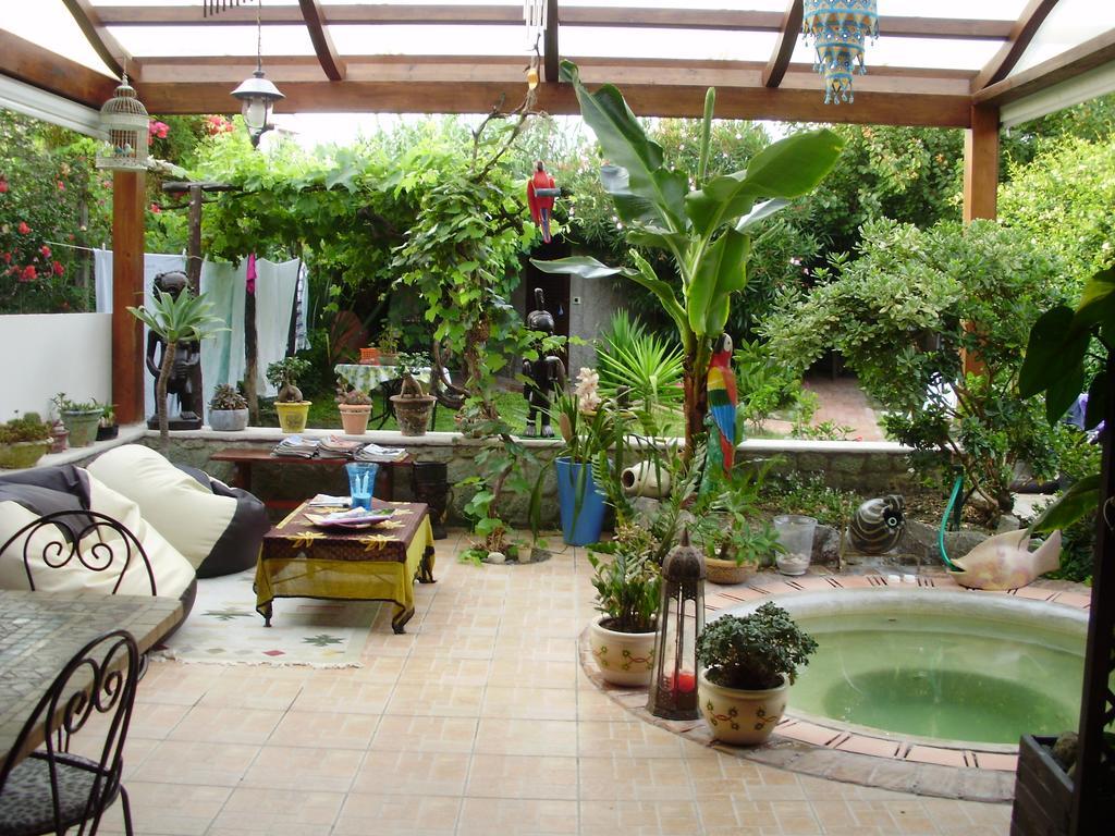 Villa Casa Vacanze Il Pozzo Ischia Island Exterior foto