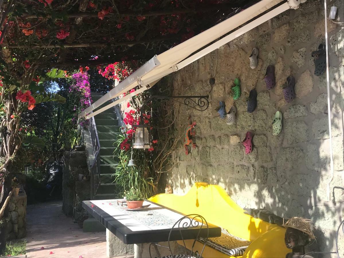Villa Casa Vacanze Il Pozzo Ischia Island Exterior foto